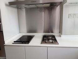 Park Infinia At Wee Nam (D11), Condominium #609080171